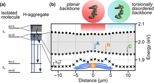 Excited-state energy landscape along P3HT nanofibers within a NA/P3HT superstructure